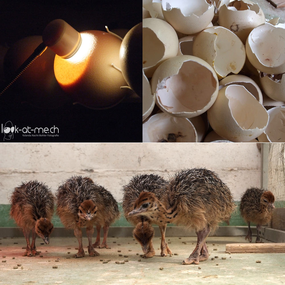 Look-at-me Fotografie Business Image 025