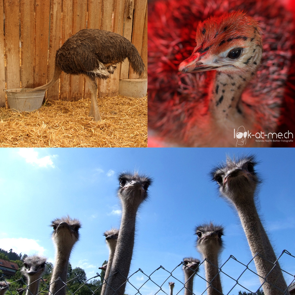 Look-at-me Fotografie Business Image 026